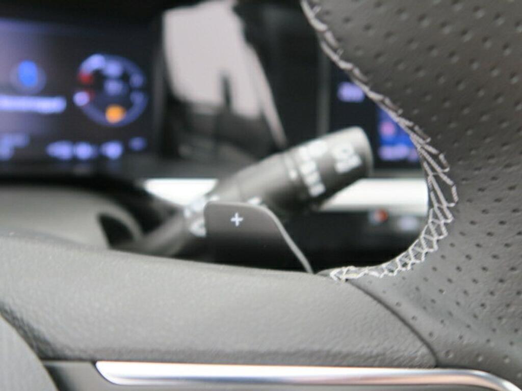 Opel Grandland GSE 1.6 TURBO PHEV 300CV AUTO 5P 14