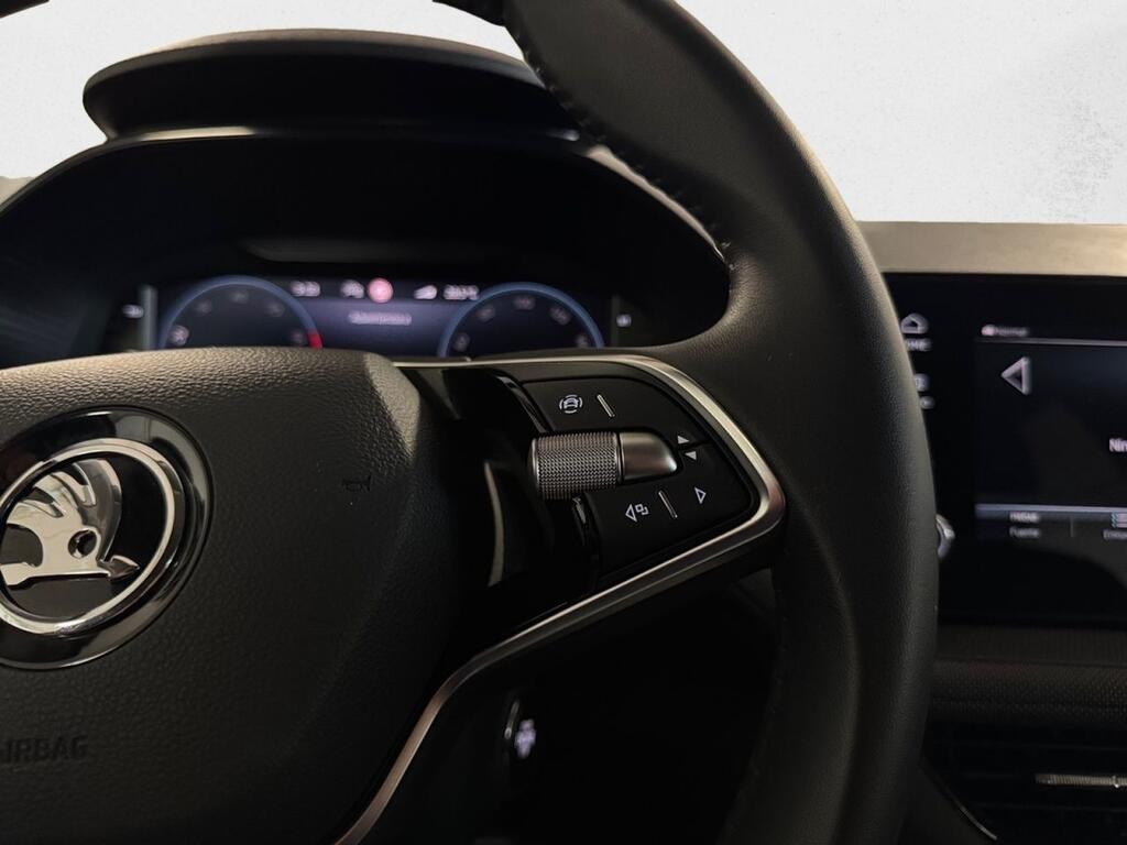 Skoda Fabia 1.0 TSI 85KW (115CV) Selection 10