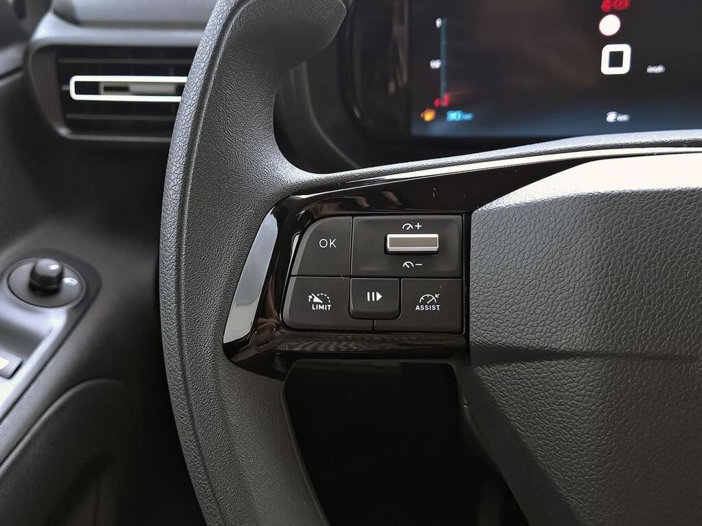 Citroën Berlingo Talla XL BlueHDi 100 S&S PLUS 17