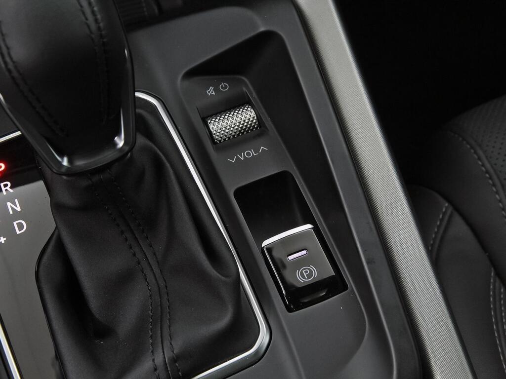 Alfa Romeo Tonale 1.6 DS 130 CV SPRINT FWD 37