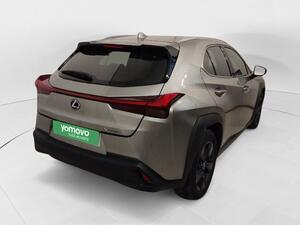Lexus UX 250H BUSINESS 2.0 HYBRID 184 CV AUTO 5P