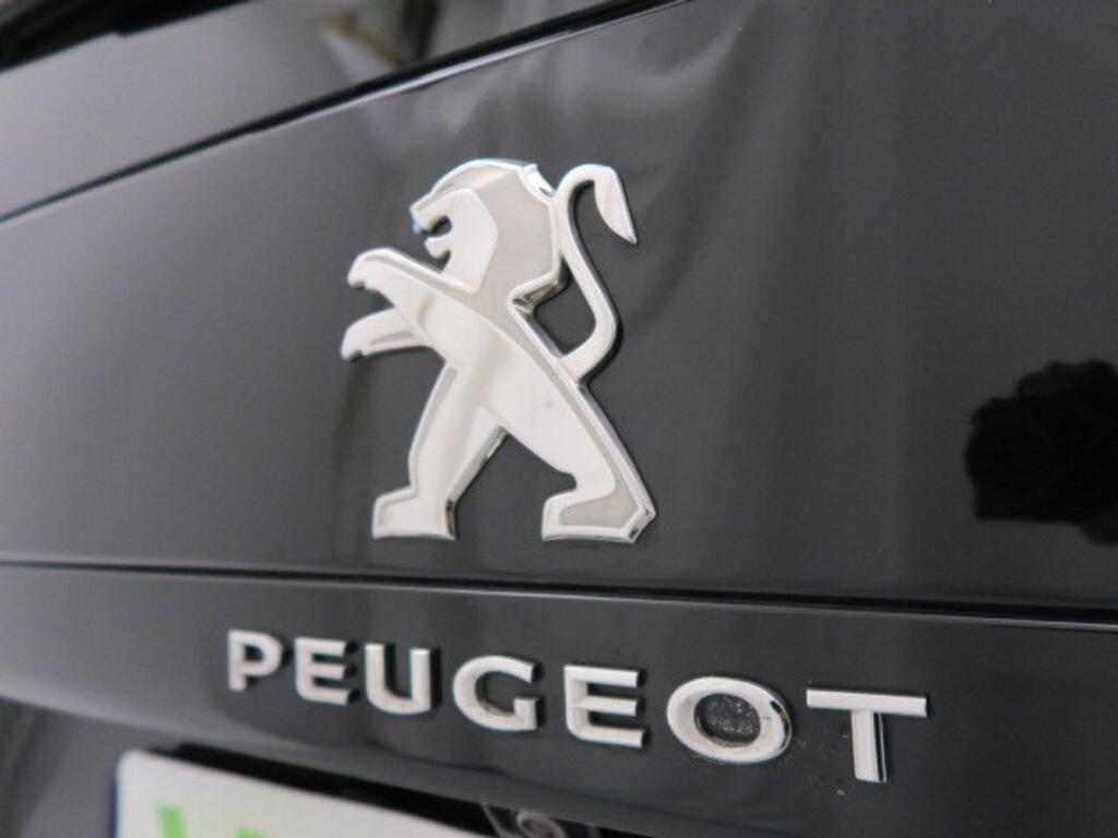 Peugeot Traveller BUSINESS LONG 1.5 BLUEHDI 120 CV 4P 9 PLAZAS 18