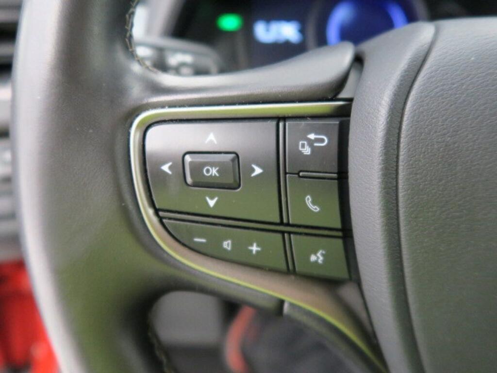 Lexus UX 250H BUSINESS 2.0 HYBRID 184 CV AUTO 5P 11