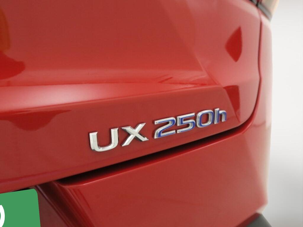 Lexus UX 250H BUSINESS 2.0 HYBRID 184 CV AUTO 5P 21