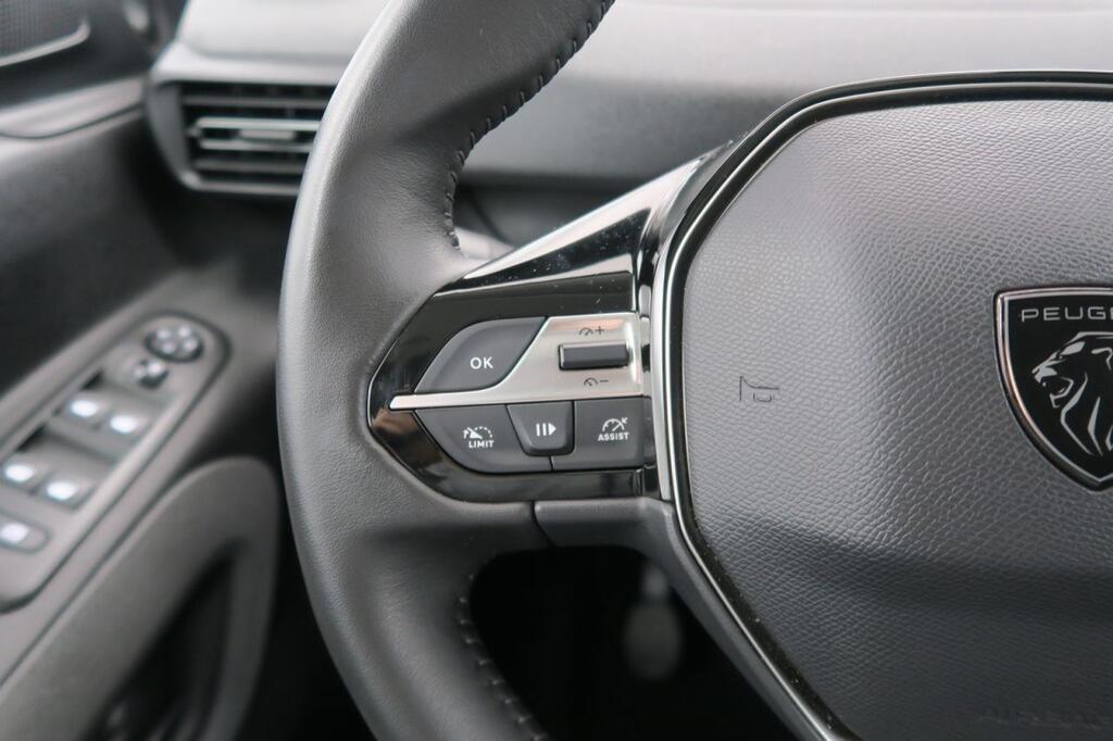 Peugeot Rifter ALLURE BUSINESS STD 1.5 BLUEHDI 100 CV 4P 13