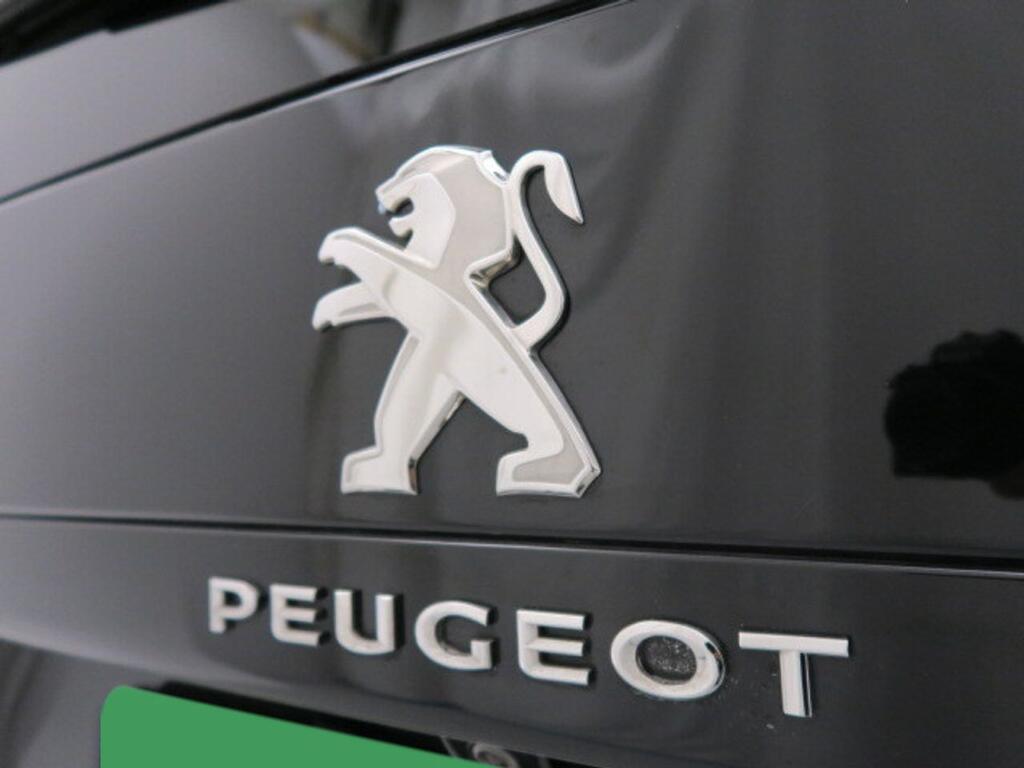 Peugeot Traveller BUSINESS LONG 1.5 BLUEHDI 120 CV 4P 9 PLAZAS 18