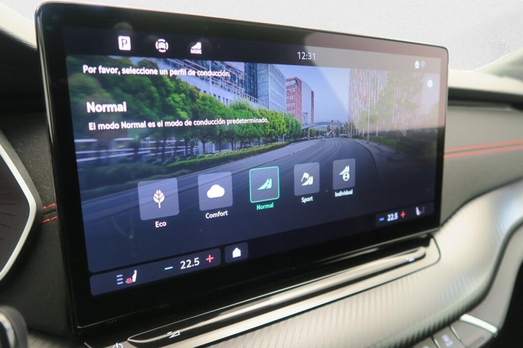 Skoda Octavia COMBI RS 2.0 TSI 265 CV DSG 5P 11