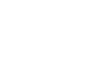 logo Nissan blanco